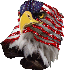 Patriotic Eagle